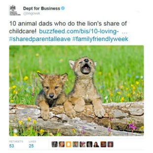 Tweet promoting a BIS Buzzfeed story on shared parental leave