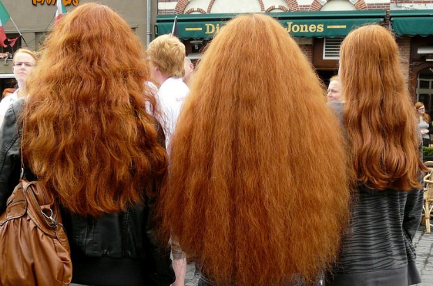 3 girls with long red hair, participants at Redhead Day 2012.